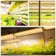 96LED Plant Grow Light Full Spectrum Dual Tube Hanging Lamp Greenhouse Vegetable