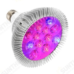 9W 12 LED E27 Red Blue Grow Lamp for Hydroponics Flowers Plants Vegetables 9W 12 LED E27 Red Blue Grow Lamp for Hydroponics Flowers Plants Vegetables