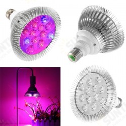 9W 12 LED E27 Red Blue Grow Lamp for Hydroponics Flowers Plants Vegetables 9W 12 LED E27 Red Blue Grow Lamp for Hydroponics Flowers Plants Vegetables