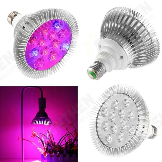 9W 12 LED E27 Red Blue Grow Lamp for Hydroponics Flowers Plants Vegetables