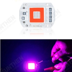 AC110V/AC220V 20W 30W 50W Full Spectrum Red & Blue LED Grow Light Chip for Indoor Plants Flowers AC110V/AC220V 20W 30W 50W Full Spectrum Red & Blue LED Grow Light Chip for Indoor Plants Flowers