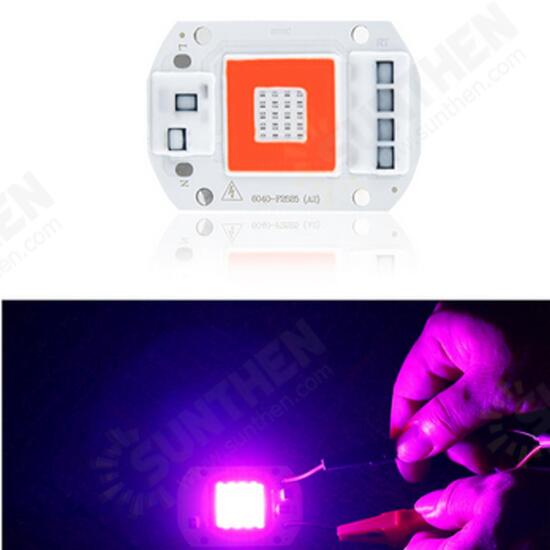 AC110V/AC220V 20W 30W 50W Full Spectrum Red & Blue LED Grow Light Chip for Indoor Plants Flowers AC110V/AC220V 20W 30W 50W Full Spectrum Red & Blue LED Grow Light Chip for Indoor Plants Flowers