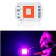 AC110V/AC220V 20W 30W 50W Full Spectrum Red & Blue LED Grow Light Chip for Indoor Plants Flowers AC110V/AC220V 20W 30W 50W Full Spectrum Red & Blue LED Grow Light Chip for Indoor Plants Flowers