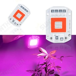 AC110V/AC220V 20W 30W 50W Full Spectrum Red & Blue LED Grow Light Chip for Indoor Plants Flowers AC110V/AC220V 20W 30W 50W Full Spectrum Red & Blue LED Grow Light Chip for Indoor Plants Flowers