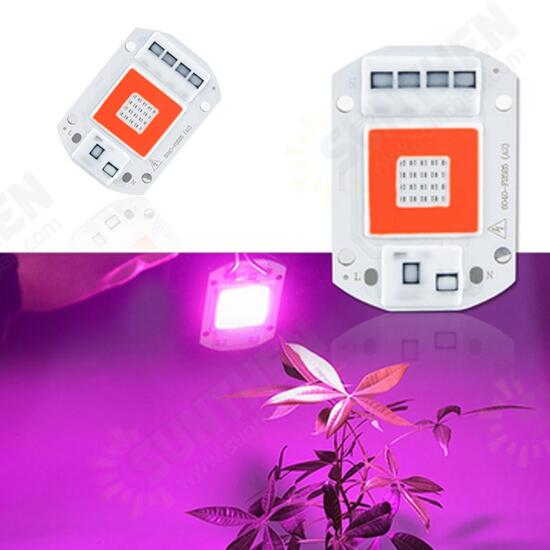 AC110V/AC220V 20W 30W 50W Full Spectrum Red & Blue LED Grow Light Chip for Indoor Plants Flowers AC110V/AC220V 20W 30W 50W Full Spectrum Red & Blue LED Grow Light Chip for Indoor Plants Flowers