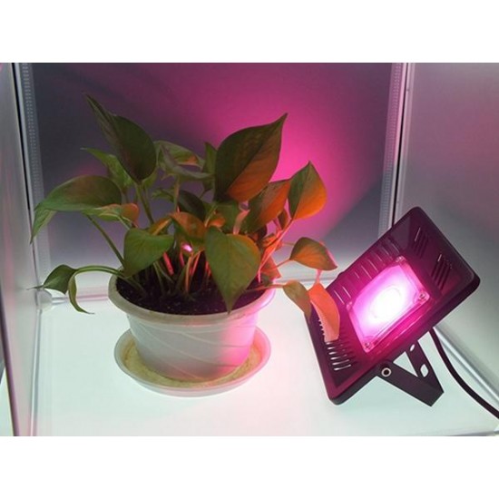 AC170-300V 50W Full Spectrum LED Plant Grow Flood Light Waterproof Ultra Thin For Indoor Ourdoor