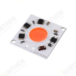 AC220-240V High Power 30W Full Spectrum COB LED Grow Light Chip for Floodlight AC220-240V High Power 30W Full Spectrum COB LED Grow Light Chip for Floodlight