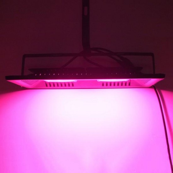 AC220V 100W Full Spectrum LED Flood Grow Light Waterproof IP65 for Indoor Ourdoor Plant