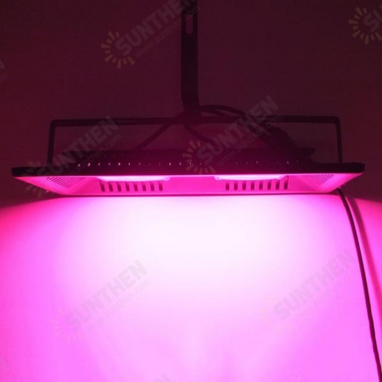 AC220V 100W Full Spectrum LED Flood Grow Light Waterproof IP65 for Indoor Ourdoor Plant