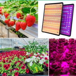 AC85-265V 35W 256LED Ultra Thin Full Spectrum/Sun Light LED Grow Light Quantum Plant Light US/EU Plug AC85-265V 35W 256LED Ultra Thin Full Spectrum/Sun Light LED Grow Light Quantum Plant Light US/EU Plug
