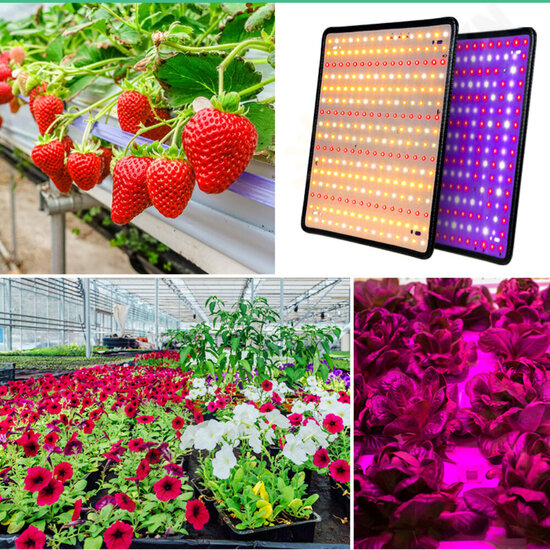 AC85-265V 35W 256LED Ultra Thin Full Spectrum/Sun Light LED Grow Light Quantum Plant Light US/EU Plug