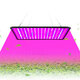 AC85-265V 35W 256LED Ultra Thin Full Spectrum/Sun Light LED Grow Light Quantum Plant Light US/EU Plug