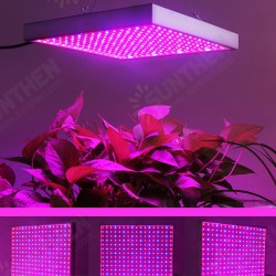 AC85-265V 60W 289 LED Grow Light Growing Lamp For Veg Flower Indoor Plant AC85-265V 60W 289 LED Grow Light Growing Lamp For Veg Flower Indoor Plant
