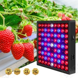 AC85V~265V 81LED/169LED Full Spectrum Grow Light Plant Light with Hanging Kit for Greenhouse Farms AC85V~265V 81LED/169LED Full Spectrum Grow Light Plant Light with Hanging Kit for Greenhouse Farms