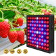 AC85V~265V 81LED/169LED Full Spectrum Grow Light Plant Light with Hanging Kit for Greenhouse Farms