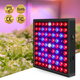 AC85V~265V 81LED/169LED Full Spectrum Grow Light Plant Light with Hanging Kit for Greenhouse Farms