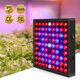 AC85V~265V 81LED/169LED Full Spectrum Grow Light Plant Light with Hanging Kit for Greenhouse Farms