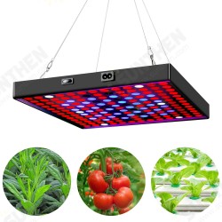 AC85V~265V 81LED/169LED Full Spectrum Grow Light Plant Light with Hanging Kit for Greenhouse Farms AC85V~265V 81LED/169LED Full Spectrum Grow Light Plant Light with Hanging Kit for Greenhouse Farms