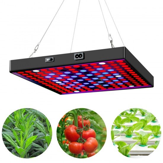 AC85V~265V 81LED/169LED Full Spectrum Grow Light Plant Light with Hanging Kit for Greenhouse Farms