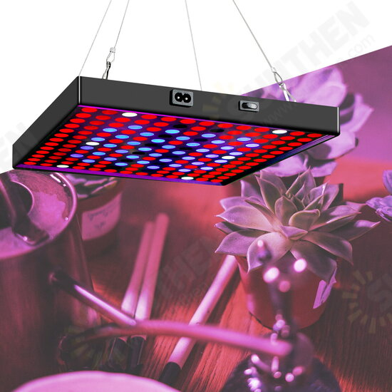 AC85V~265V 81LED/169LED Full Spectrum Grow Light Plant Light with Hanging Kit for Greenhouse Farms