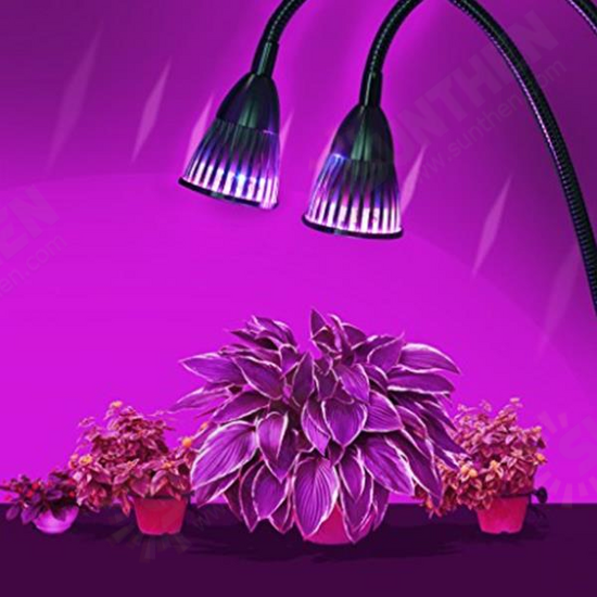 DC12V 14W Double Lamp Holders Double Switches 8 Red Light 6 Blue Light Plant Grow Light With Clip