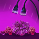 DC12V 14W Double Lamp Holders Double Switches 8 Red Light 6 Blue Light Plant Grow Light With Clip