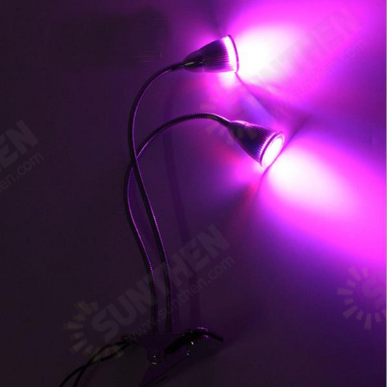 DC12V 14W Double Lamp Holders Double Switches 8 Red Light 6 Blue Light Plant Grow Light With Clip