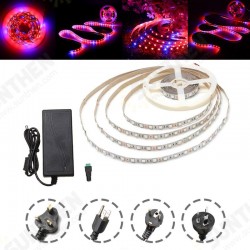 DC12V Non-waterproof 5M Red:Blue 4:1 SMD5050 Full Spectrum LED Strip Grow Light + Power Supply DC12V Non-waterproof 5M Red:Blue 4:1 SMD5050 Full Spectrum LED Strip Grow Light + Power Supply
