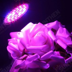 E27 15W LED Grow Lamp Plant Lamp 85-265V 800-1200LM E27 15W LED Grow Lamp Plant Lamp 85-265V 800-1200LM