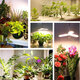 E27 2/3/4 Blades Full Spectrum LED Grow Light Bulb Folding Hydroponic Indoor Plants Growing Lamp 85-265V