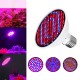 E27 60/126/200/300LED Grow Light Bulb Indoor Plant Hydroponic Flower Veg Lamp 85-265V E27 60/126/200/300LED Grow Light Bulb Indoor Plant Hydroponic Flower Veg Lamp 85-265V