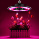 E27 LED Grow Light Full Spectrum Hydroponic Lamp Bulb for Indoor Plant Flower Growing AC100-277V E27 LED Grow Light Full Spectrum Hydroponic Lamp Bulb for Indoor Plant Flower Growing AC100-277V