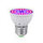 48 LED1 