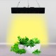 1000W Full Spectrum Plant Growing Lamp LED Highlight PAR Flower Medicinal Greenhouse Hydroponic Plant Lamp