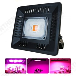 Full Spectrum 30W 50W COB LED Grow Light Waterproof Phyto Lamp for Indoor Plant Vegetable Flower AC220V Full Spectrum 30W 50W COB LED Grow Light Waterproof Phyto Lamp for Indoor Plant Vegetable Flower AC220V