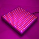 Full Spectrum 30W Panel 225LED Grow Light Growing Lamp for Indoor Seedling Greenhouse Plant Flowering AC85~265V