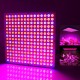 Full Spectrum 30W Panel 225LED Grow Light Growing Lamp for Indoor Seedling Greenhouse Plant Flowering AC85~265V