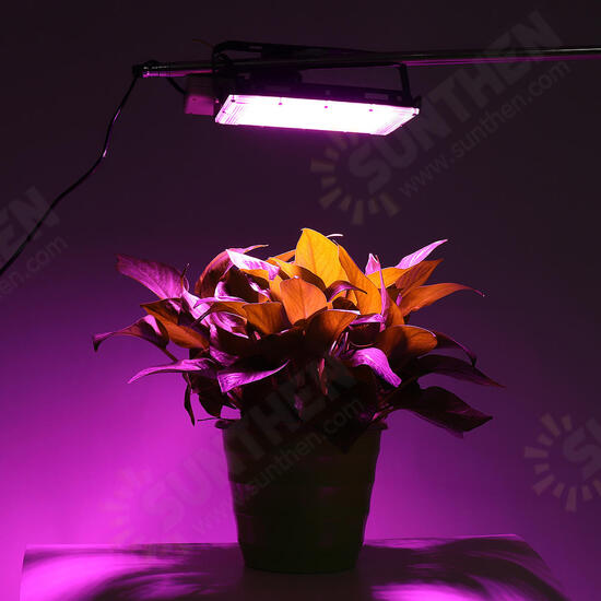 Full Spectrum 50 LED Grow Light Flood Lighting Lamp for Plants