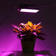 Full Spectrum 50 LED Grow Light Flood Lighting Lamp for Plants