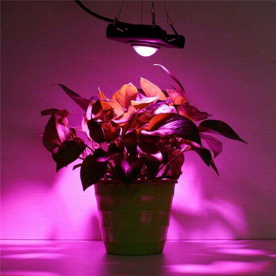 Full Spectrum COB Grow Light High Brightness PAR Automatic Temperature Control LED Flood light for Indoor Grow Box Greenhouses
