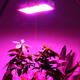 Garden 1500W LED Grow Light Full Spectrum Indoor Plants Flower Vegetable Growing Lamp Growth Bulbs