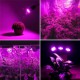 LED Bulb Grow Light E27 2835 SMD Full Spectrum Plant Hydroponic Aquarium AC85-265V