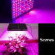 LED Grow Light Hydroponic Full Spectrum Indoor Plant Flower Growing Bloom Lamp 85-265V