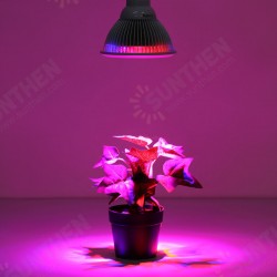 PL-GL 01 E27 12W/24W LED Plant Grow Light Lamp Bulb for Garden Hydroponics Greenhouse Organic PL-GL 01 E27 12W/24W LED Plant Grow Light Lamp Bulb for Garden Hydroponics Greenhouse Organic