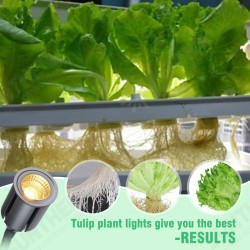 Yellow Light Full Tube Enough Double-headed Three-Speed Five-speed Dimming LED Plant Light Yellow Light Full Tube Enough Double-headed Three-Speed Five-speed Dimming LED Plant Light