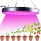Spectrum LED Grow Light Indoor Plant Growing Seeding Bloom Panel Lamp Flowers