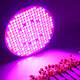 Spectrum LED Grow Light Indoor Plant Growing Seeding Bloom Panel Lamp Flowers