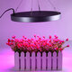 Spectrum LED Grow Light Indoor Plant Growing Seeding Bloom Panel Lamp Flowers