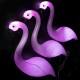 1/3Pcs Pink Flamingo Lawn Patio Yard Walkway Garden Stake Landscape Path Solar