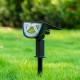 43LED Solar Landscape Light Front Rear Light Up RGB Waterproof Garden Decor Lamp